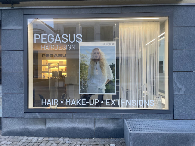 PEGASUS Hairdesign