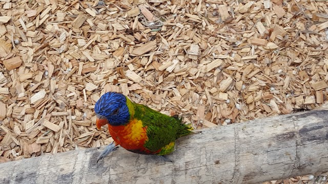 Zoo de Bordeaux-Pessac