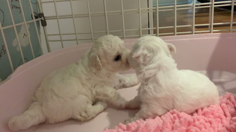 フレンドハウス