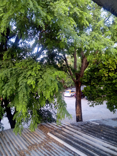 State Normal School - Visual