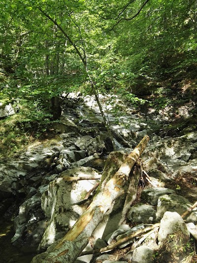 Bob su rotaia - Doganaccia 2000 (alpine mountain Coaster)