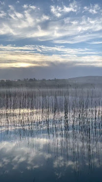 Liss Ard Estate by null