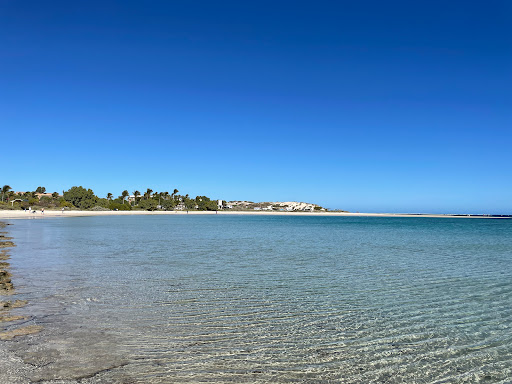 Bill's Bay - Thumbnail