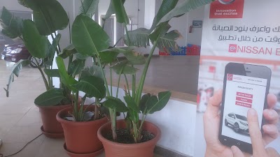Photos of Nissan Car Egypt
