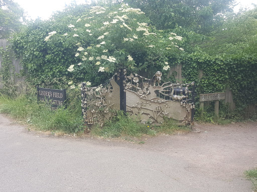 Linder's Field Local Nature Reserve - Thumbnail