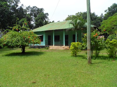 Photos of Madhupur Jungle National Park