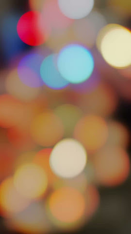 Kazumi Sushi Lounge by null