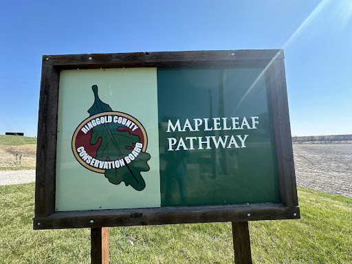 Mapleleaf Pathway - Visual