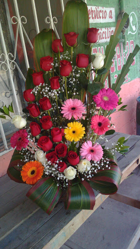 Floreria D'sofia - Visual