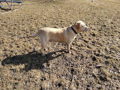 Waterville Dog Park