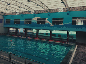 Municipal Pool Miraflores 7