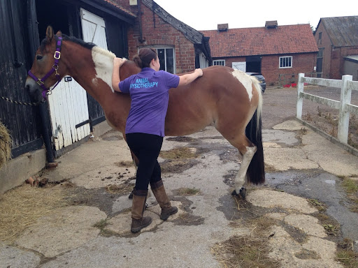 Passionate About Pets Animal Physiotherapy Gallery - United Kingdom