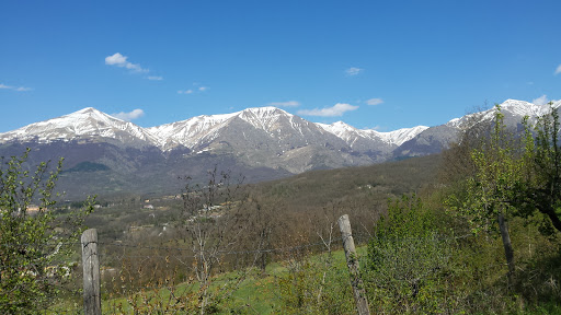 Colletroio - Visual