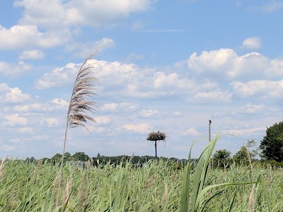 Claire D. McIntosh Wildlife Refuge