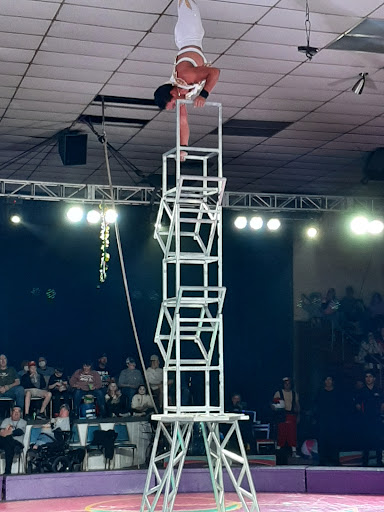 Jamil Shrine Circus - Thumbnail