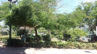 Photos of Molinos Park