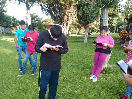 Shalom Garden - Thumbnail