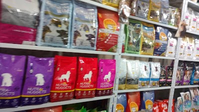 veterinary-care