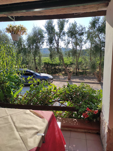 Aziende Agricole Tenute Cantine Cimaglia - I Vini e gli Oli del Gargano - Thumbnail