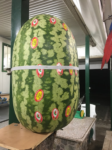Coco verde - Visual