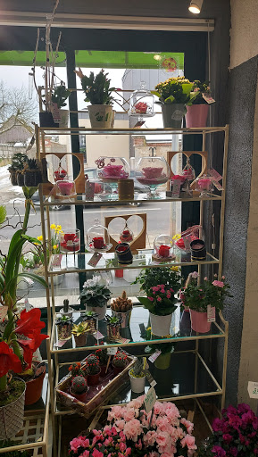 Loire Fleurs - Thumbnail