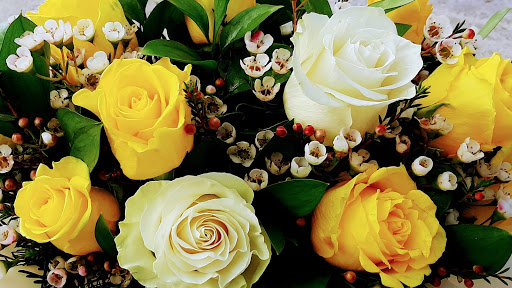 Floricoltura Raffaella