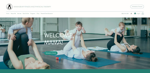 Mama Bear Fitness and Physical Therapy - Thumbnail