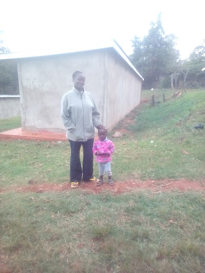 Photos of Muringato Forest
