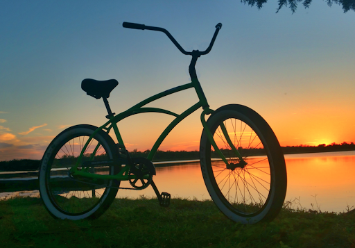 Griffin's Bicycle Shop Gallery - United States