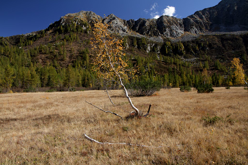 Val di Lares - Thumbnail