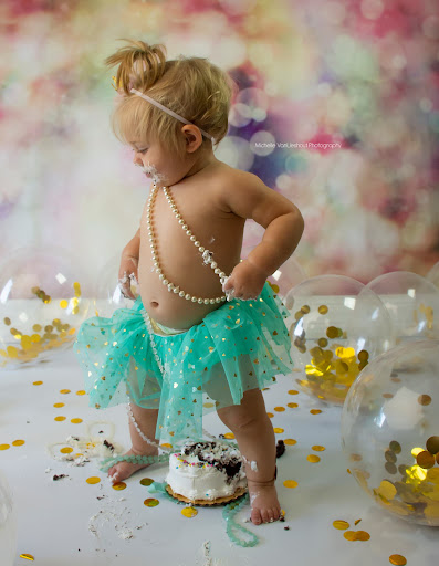Michelle Vanlieshout Graphic Design & Photography, LLC. - Thumbnail