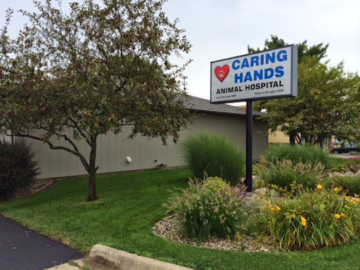 Caring Hands Animal Hospital: Buraglio Rebecca DVM