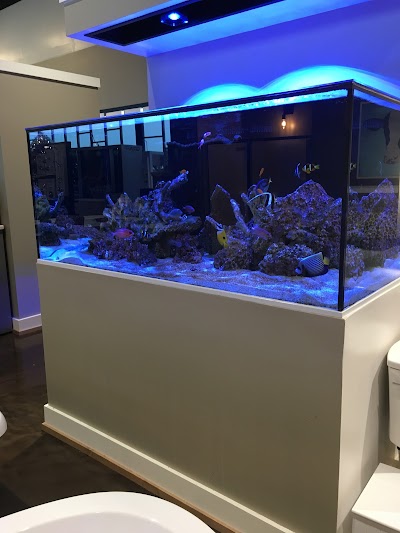 Aquatic Realmz Aquarium Maintenance & Design