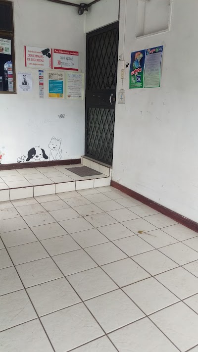 veterinary-care