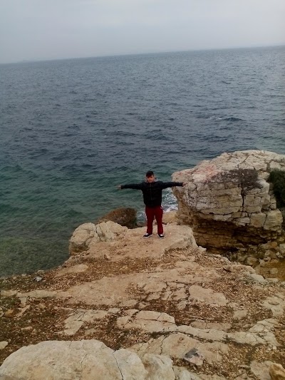 Photos of Saros Bay Resort
