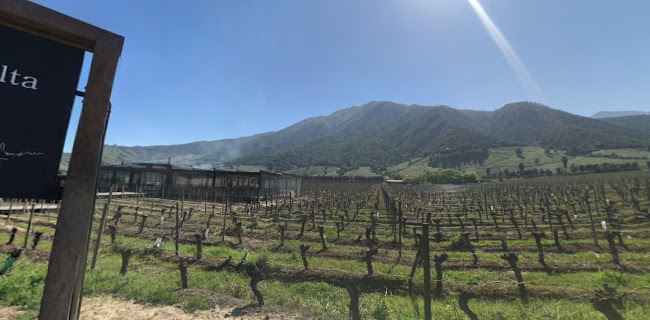 Fuegos de Apalta