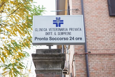 Photos of Centro Veterinario Bolognese srl - Clinica Veterinaria Privata Dott. Semprini