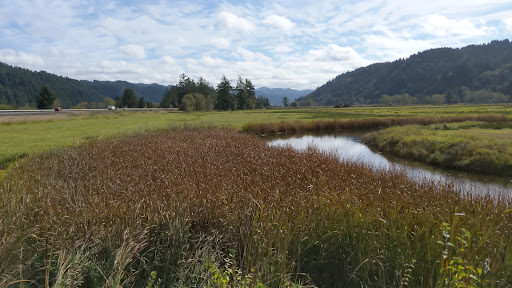 Umpqua Wayside - Visual