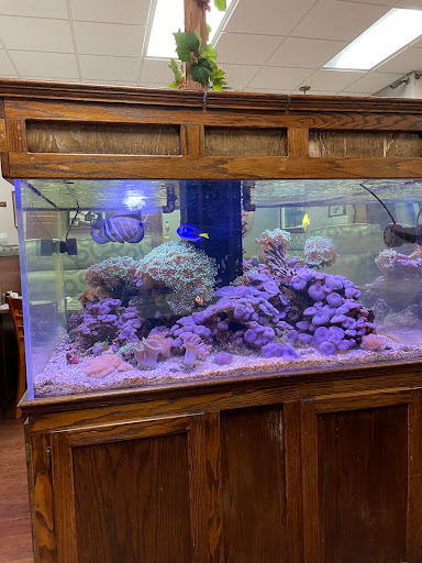 Grape Leaf Diner - Visual