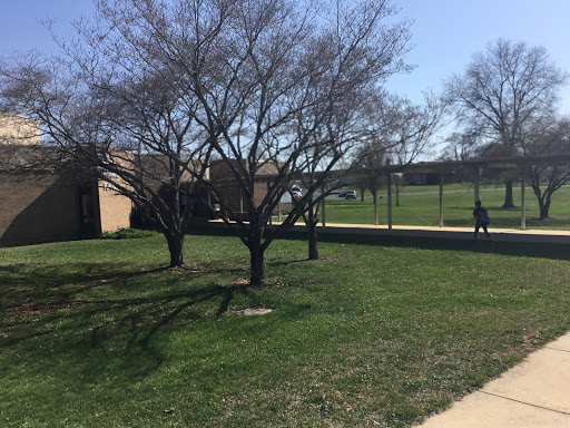 Caverna Elementary School - Visual