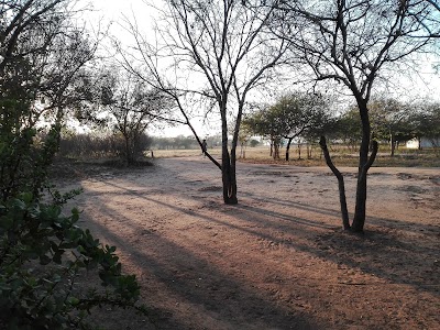 Photos of Mamana MUDADA