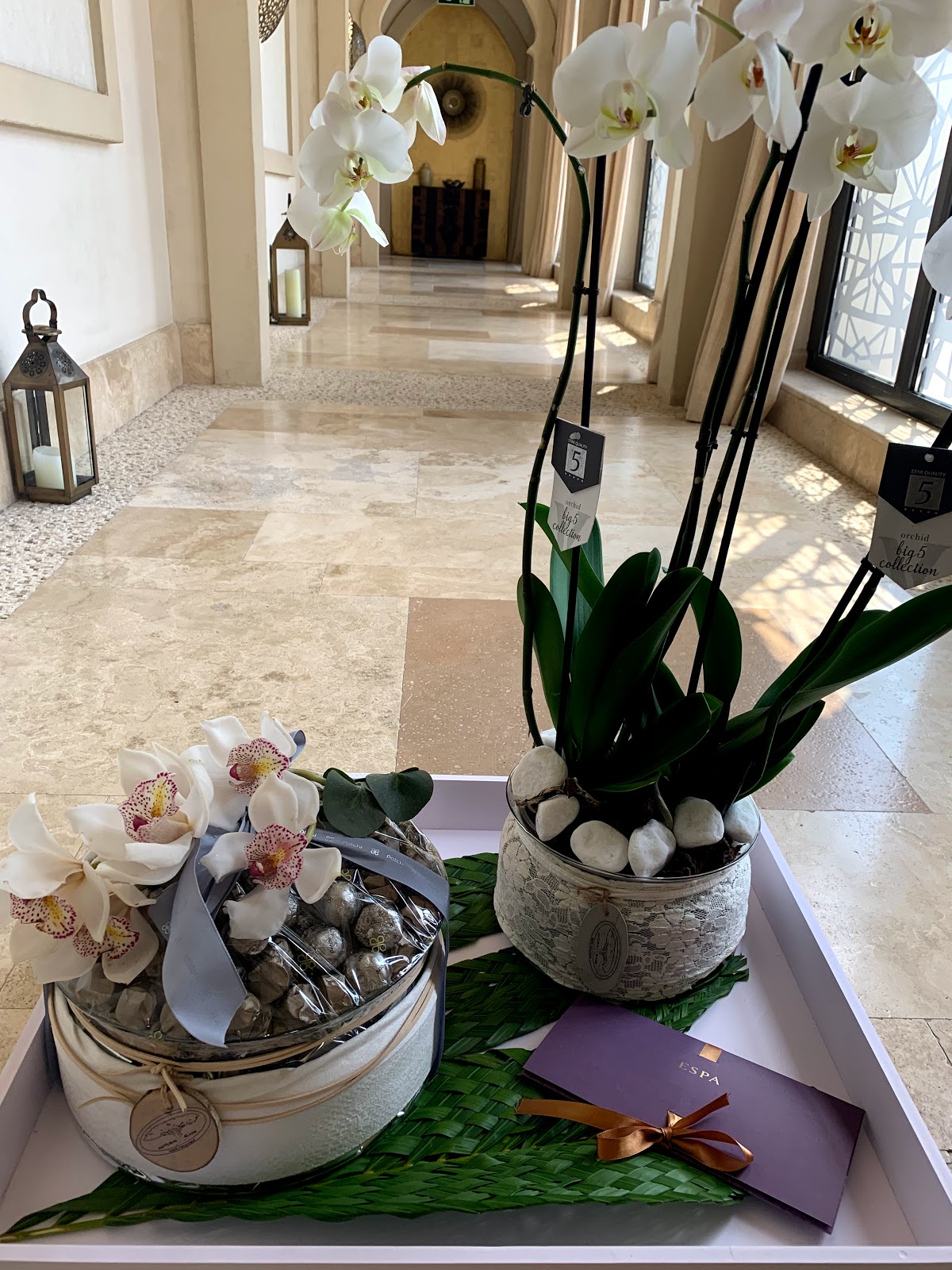 Cherry Blossom Flowers - صورة 2