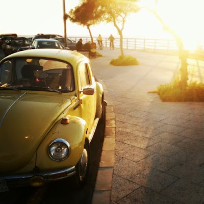 Photos of Al Fanar Resort