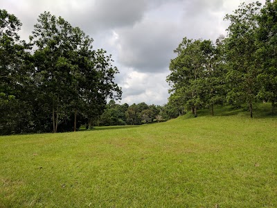 Photos of Firestone Staff Club Golf Course