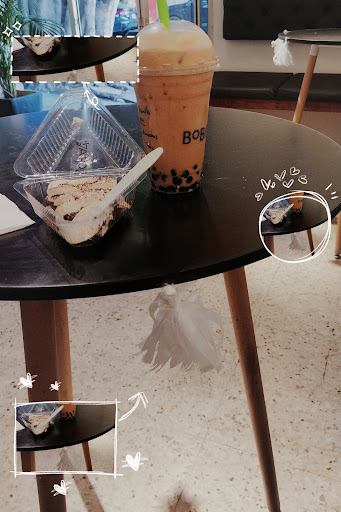 site_photo4