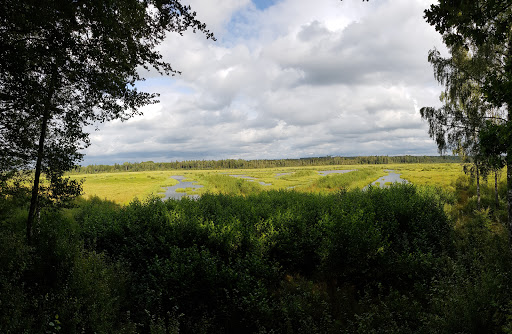 Kroppsjön - Visual