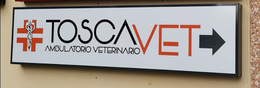 Toscavet - Visual