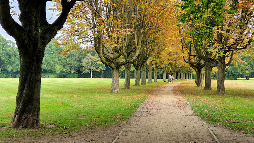 Philips van Lennep Park