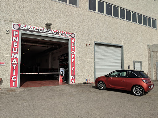Spaccesi Gomme snc Gallery - Italy