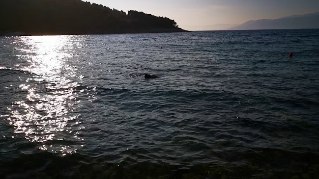 Radno vrijeme Lovrečina Beach Bar